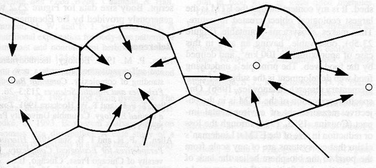  Photonshed created by territorial boundaries of the top predator social group where the arrows represent the net direction of energy flow through the food web to the
          territory centre