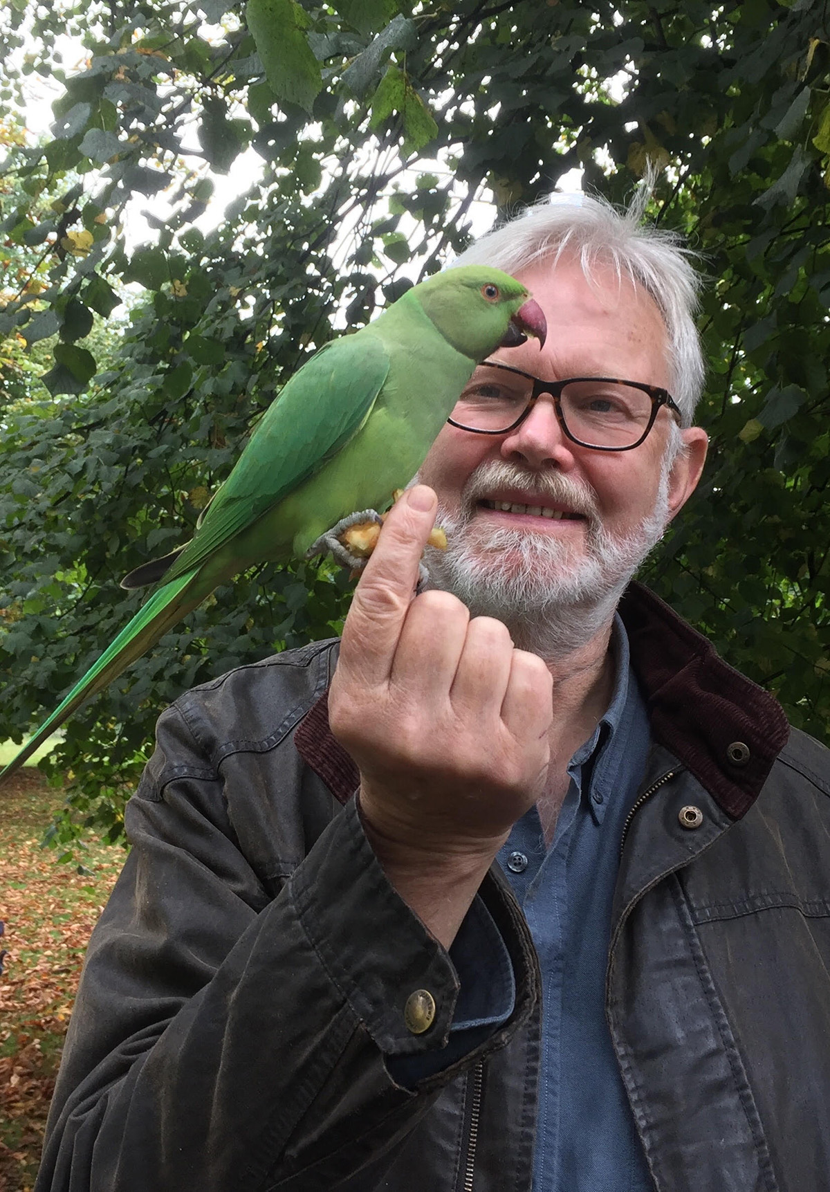 Steve Cousins with wild Indian Ring-necked Parakeet, Hyde Park, central London